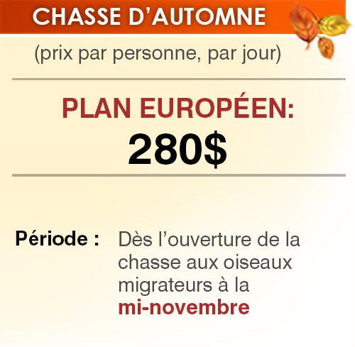 Chasse d'automne oie blanche
